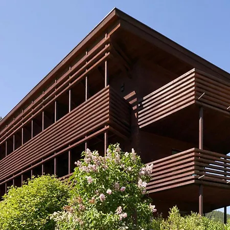 Aparthotel Saleghes Dolomites